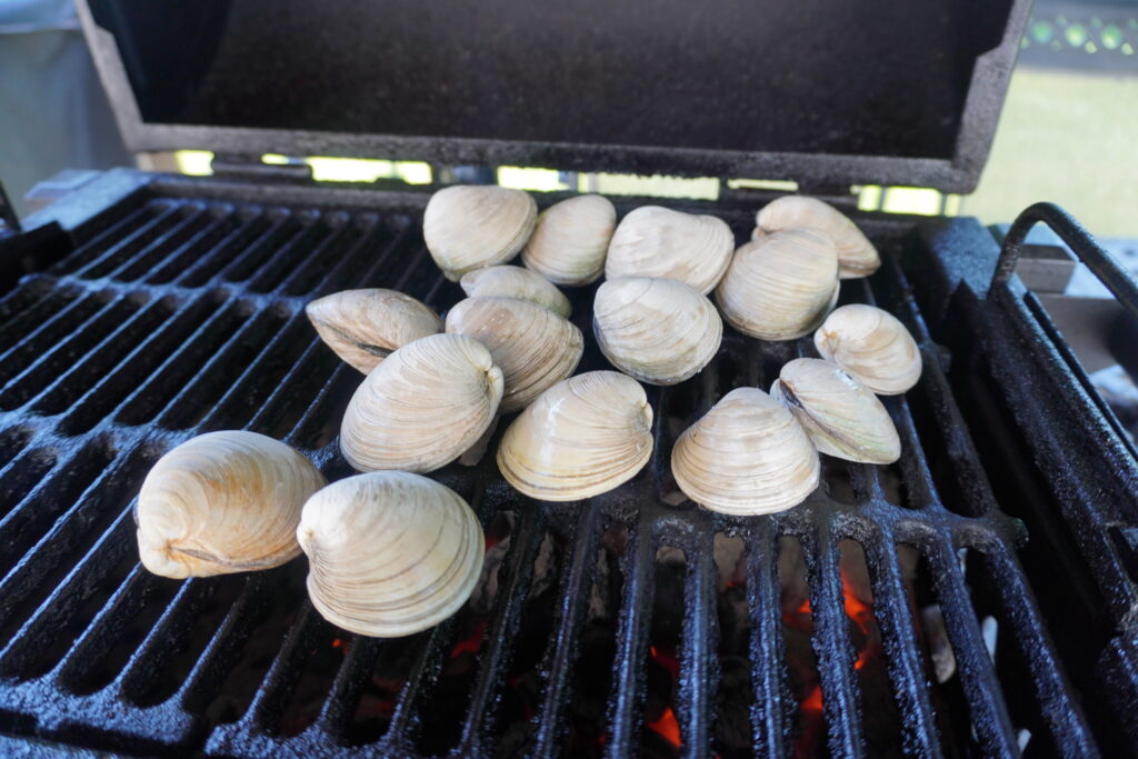 grilled clams