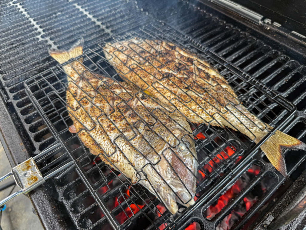 Grilled Porgy